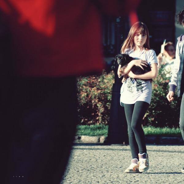 Digital art selected for the Daily Inspiration #737