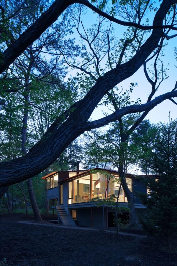 Digital art selected for the Daily Inspiration #780