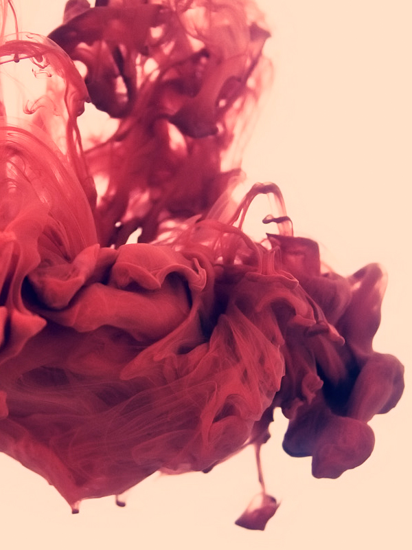 20110218_6.jpg