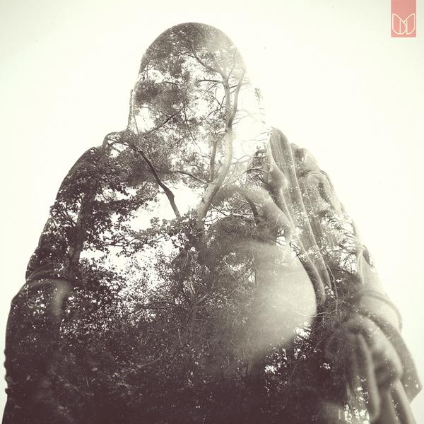 20110330 buddha woodland