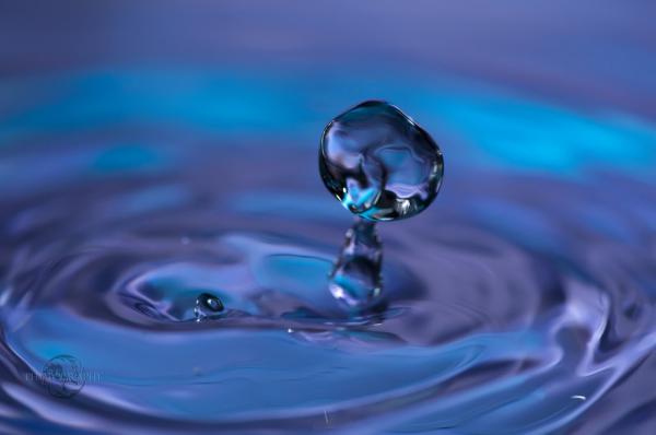womb_of_water600_398