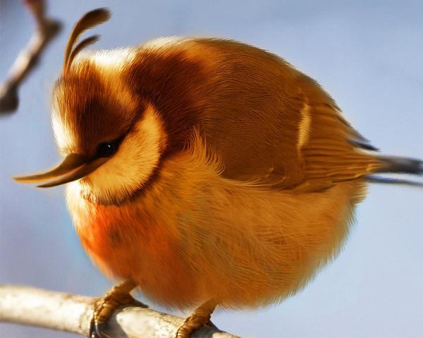 [Wooowwww] Tokoh Angry Bird dalam Dunia Nyata 7