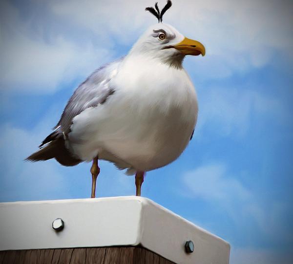 [Wooowwww] Tokoh Angry Bird dalam Dunia Nyata 11