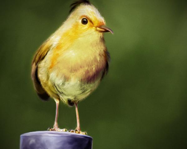 [Wooowwww] Tokoh Angry Bird dalam Dunia Nyata 8