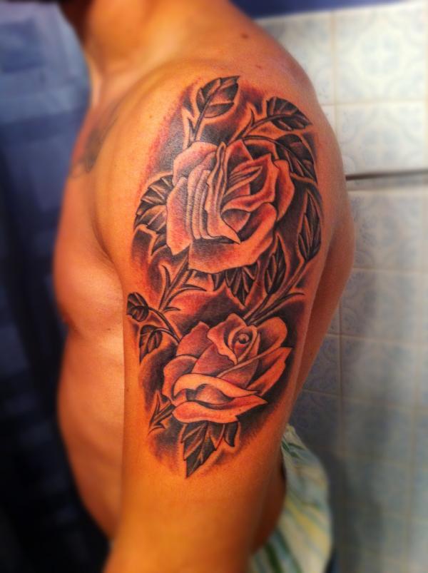 roses600_803