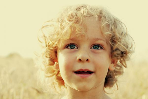 sunny_boy600_402