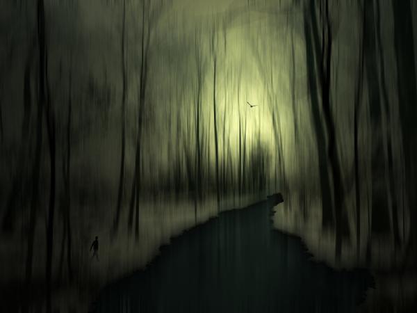 © Josh Adamski