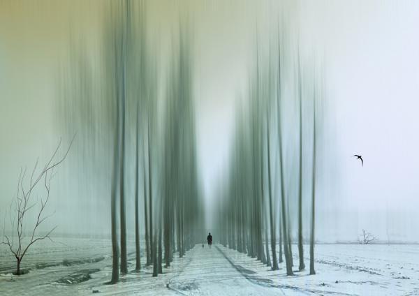 Bare by Josh Adamski