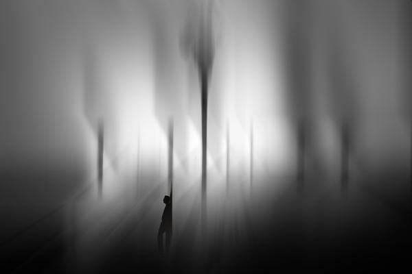 Reflections by Josh Adamski