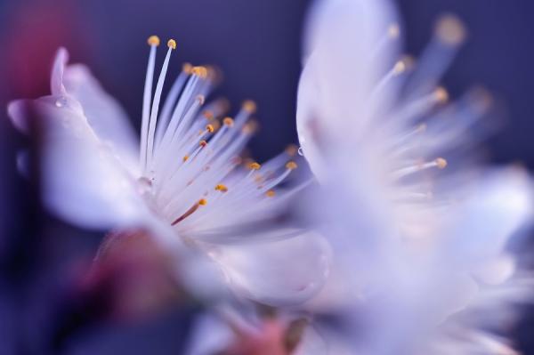 lafugue_logos4600_399