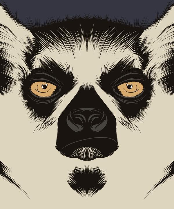 lemur_by_alejandro_garcia600_721