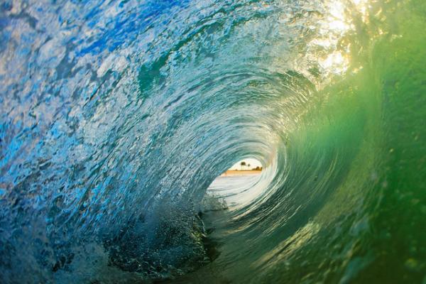 © Nick Selway and CJ Kale