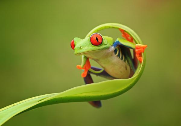 Incredibly Amazing Macro Photography by Shikhei Goh @ GenCept