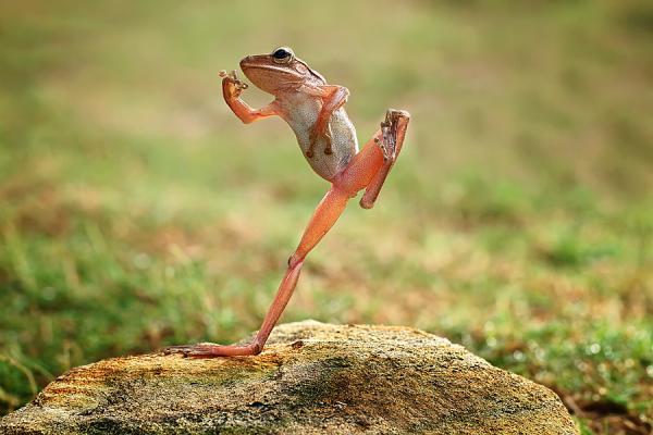 Incredibly Amazing Macro Photography by Shikhei Goh @ GenCept