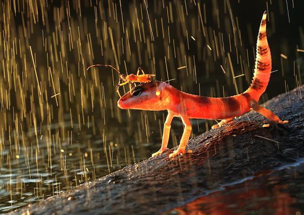 Incredibly Amazing Macro Photography by Shikhei Goh @ GenCept