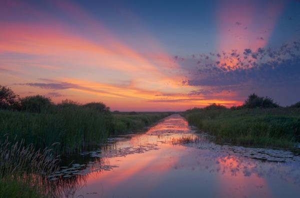 Scott Kroeker_11600_397
