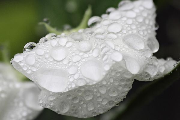 Brian Valentine Photography