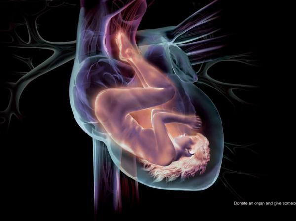 Donate an organ_1600_447