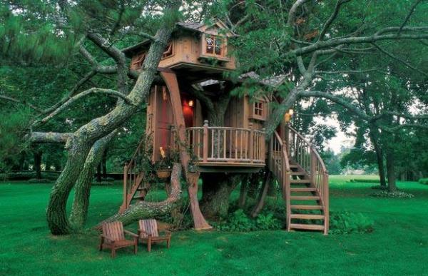 Amazing Tree Houses