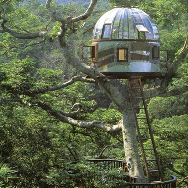 Tree Homes of Pete Nelson Design Trends