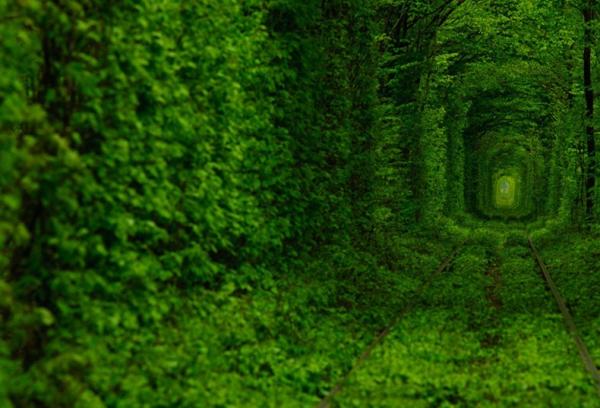 Tunnel of Love_6600_408