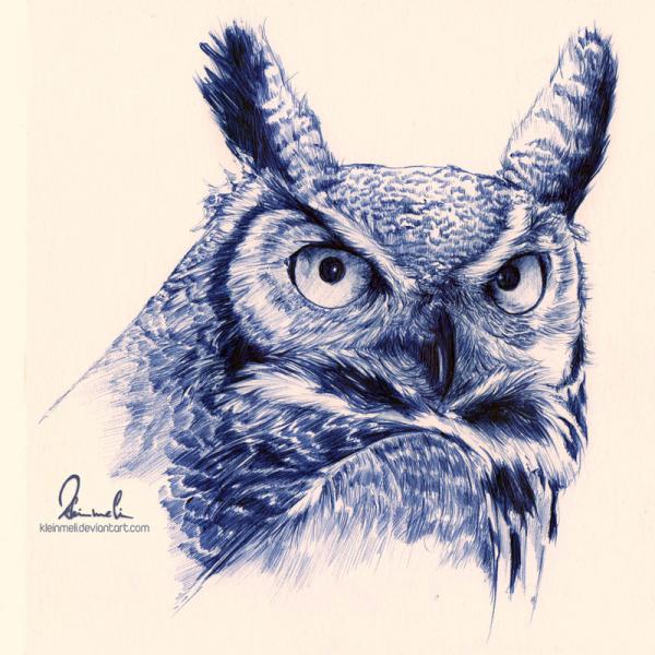 owl_by_kleinmeli600_600