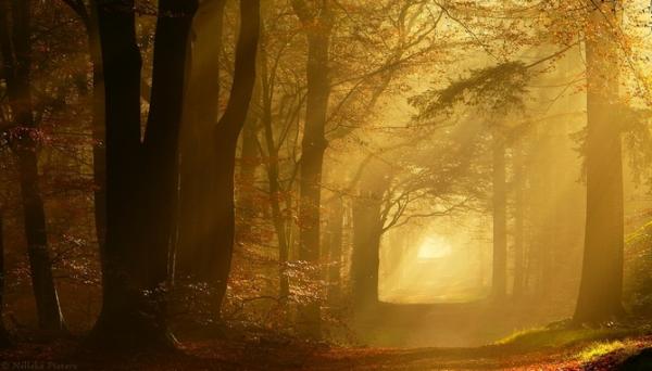 Nelleke Pieters_13600_342