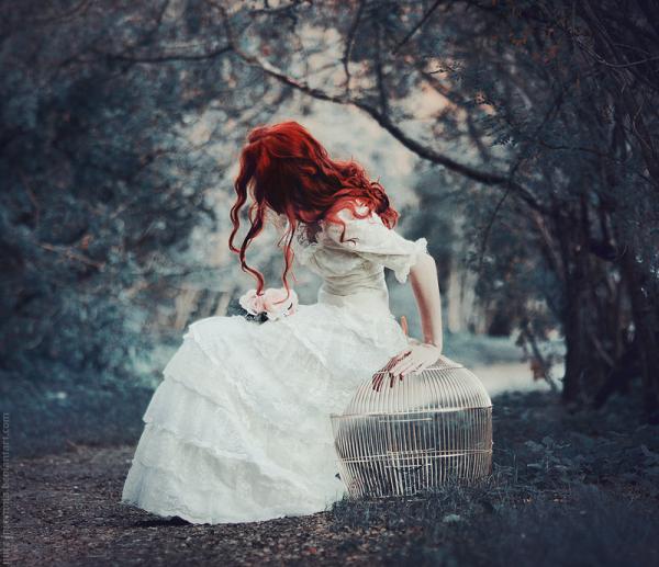nestling_by_pure_insomnia600_517.jpg