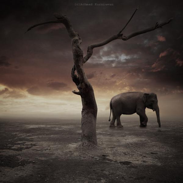 the_remaining_by_iwanachmad600_600