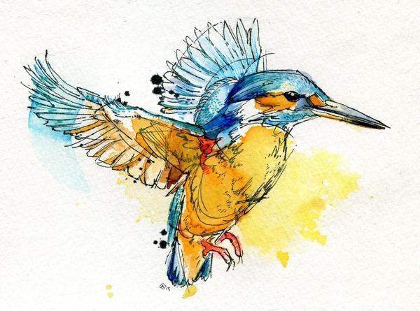 watercolor animals by abby diamond art and design watercolor animals by abby diamond art and design