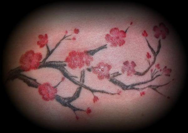 hoa anh đào xăm - 30 ảnh vui nhộn Cherry Tattoos Designs <3 <3
