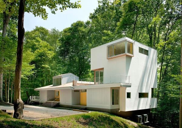 Forest-House-by-Kube-Architecture