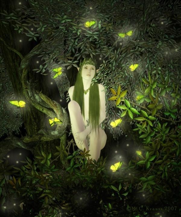wishesnwings-600x720