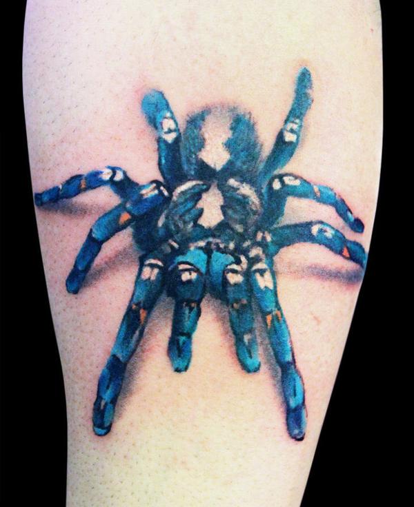 Tarantula Mil - 30 ảnh vui nhộn Spider Tattoo Designs <3 <3