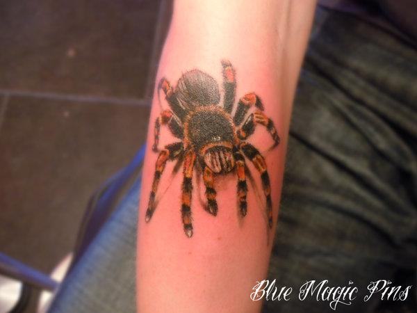 Brachypelma smithi - 30 ảnh vui nhộn Spider Tattoo Designs <3 <3