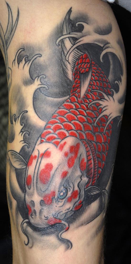 Koi Fish Tattoo - 50 ảnh vui nhộn Fish Tattoo Designs <3 <3
