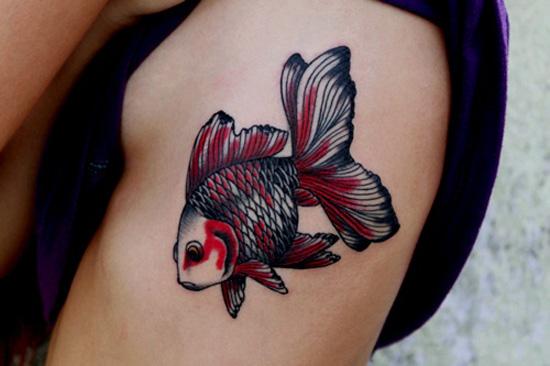 cá hình xăm - 50 ảnh vui nhộn Fish Tattoo Designs <3 <3