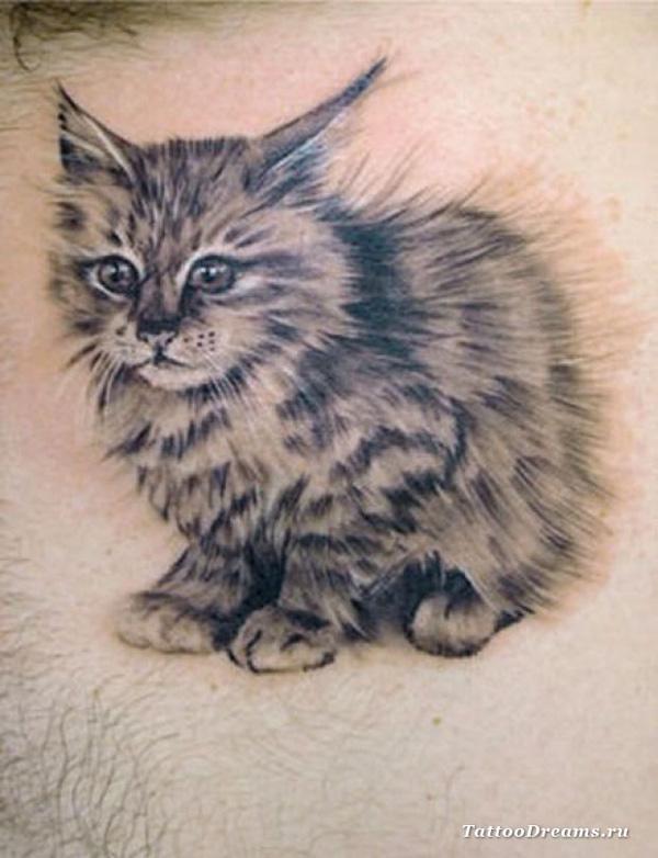 Cát Tattoo - 50 ảnh vui nhộn Animal Tattoo Designs <3 <3