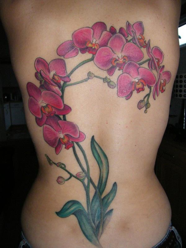 Phalaenopsis hình xăm - 65 + đẹp Flower Tattoo Designs <3 <3