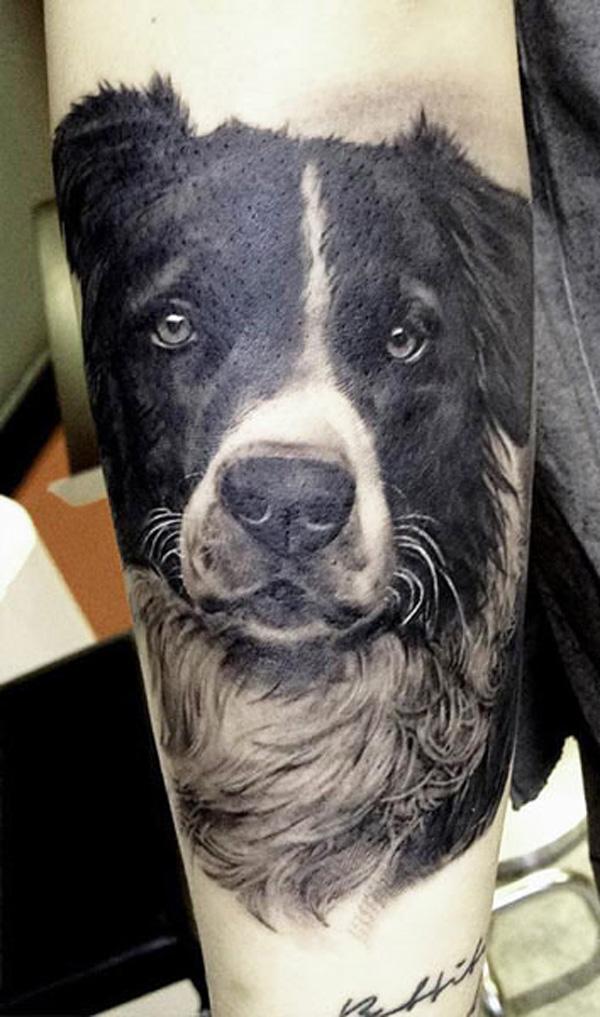 Chó xăm - 50 ảnh vui nhộn Animal Tattoo Designs <3 <3