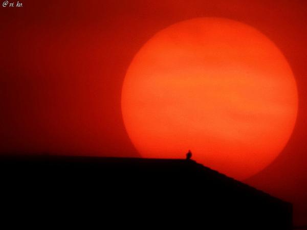 11 sunset picture