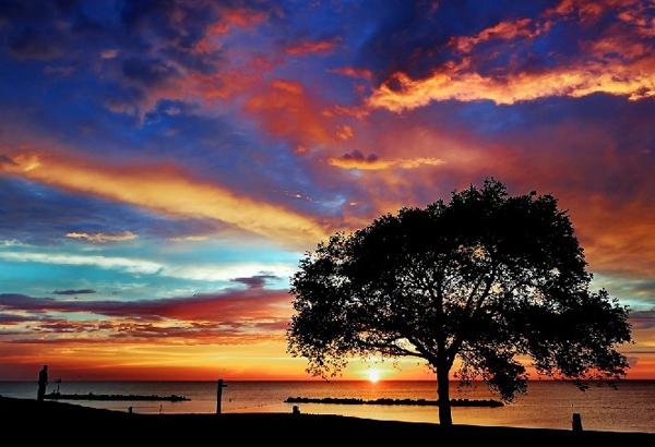 12 Lakeview Sunset