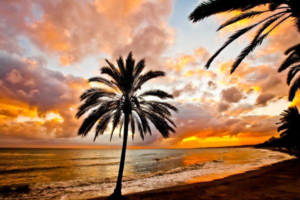 19 Irresistible sunset picture
