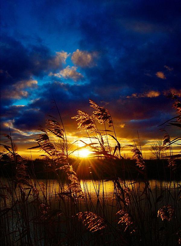21 Golden Sunset...