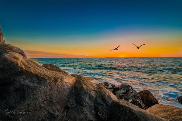 27 fly at sunset