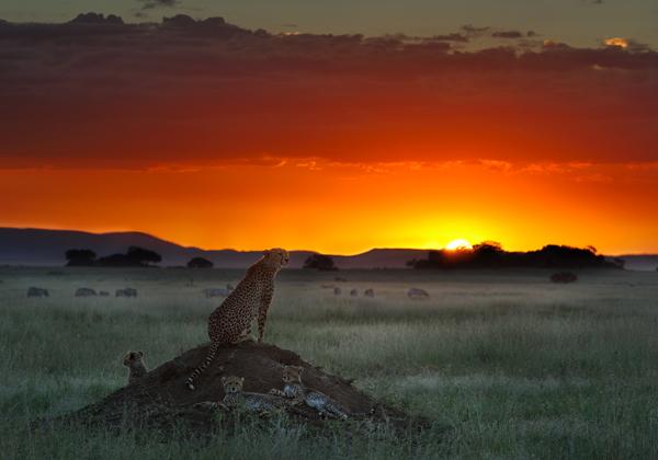 35 sunset picture