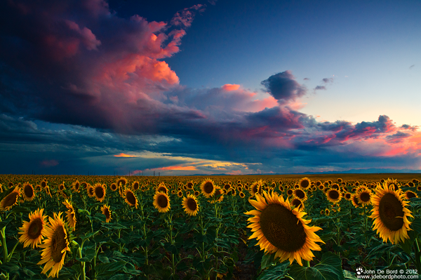 38 Skies Of A Summer Sunset