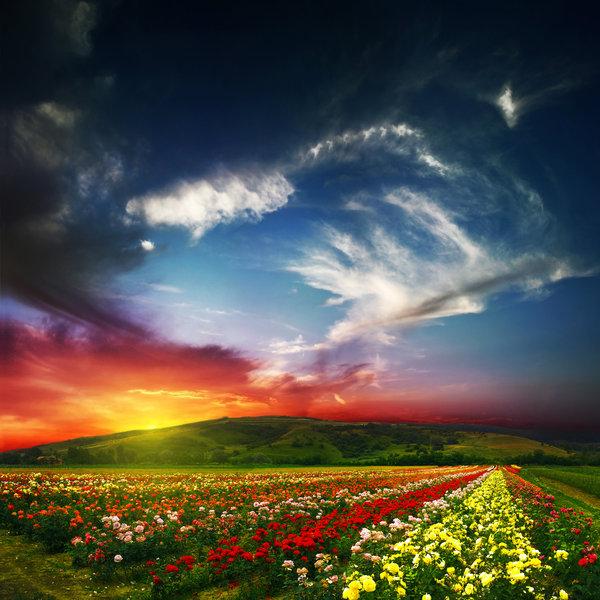 49 Colorful sunset