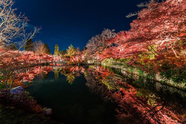 Celestial autumn by Takk Bulkington