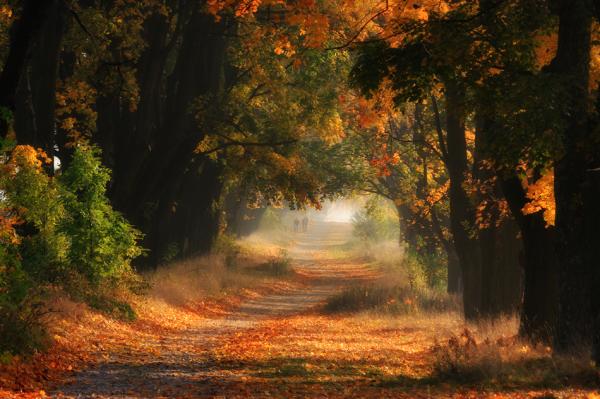 autumn in poland 2_by_Przemysław Kruk